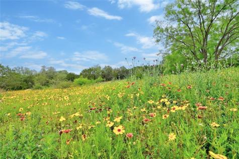 Lot 18 South Cove Spicewood TX 78669