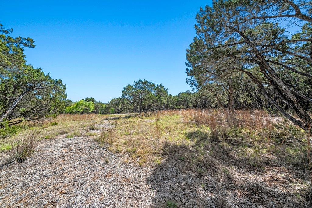 716 Ridge Oak Drive Wimberley TX 78676