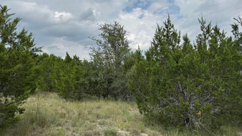 Lot 645 Wagon Wheel Trail Bertram TX 78605