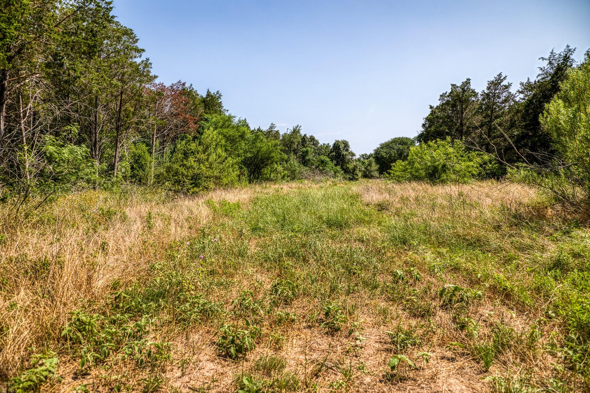 Tbd (88.852 Acres) Smith Road Bastrop TX 78602