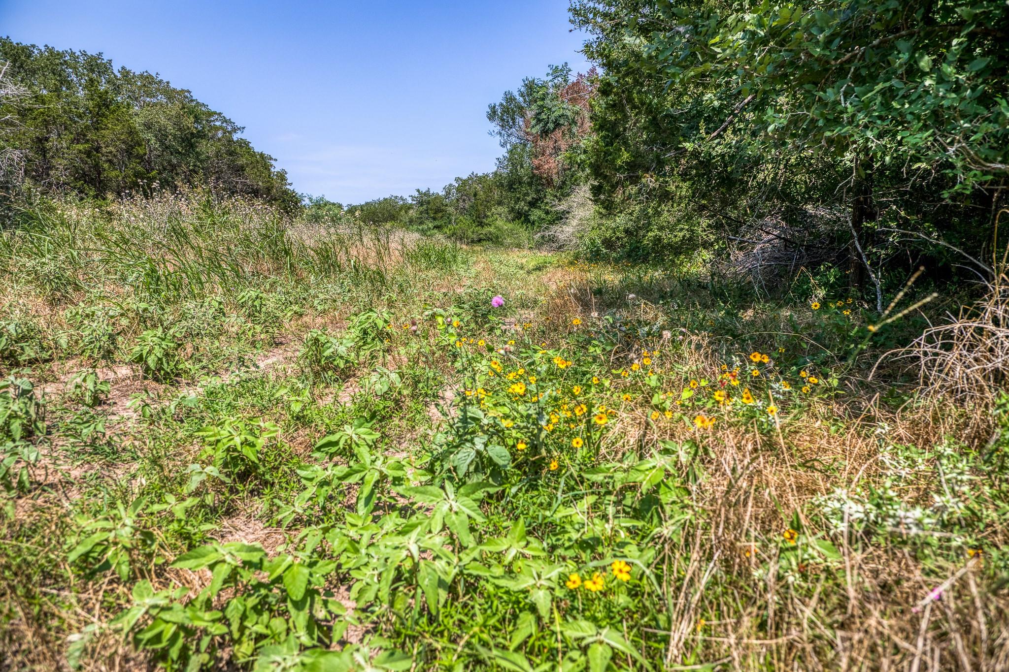 Tbd (88.852 Acres) Smith Road Bastrop TX 78602