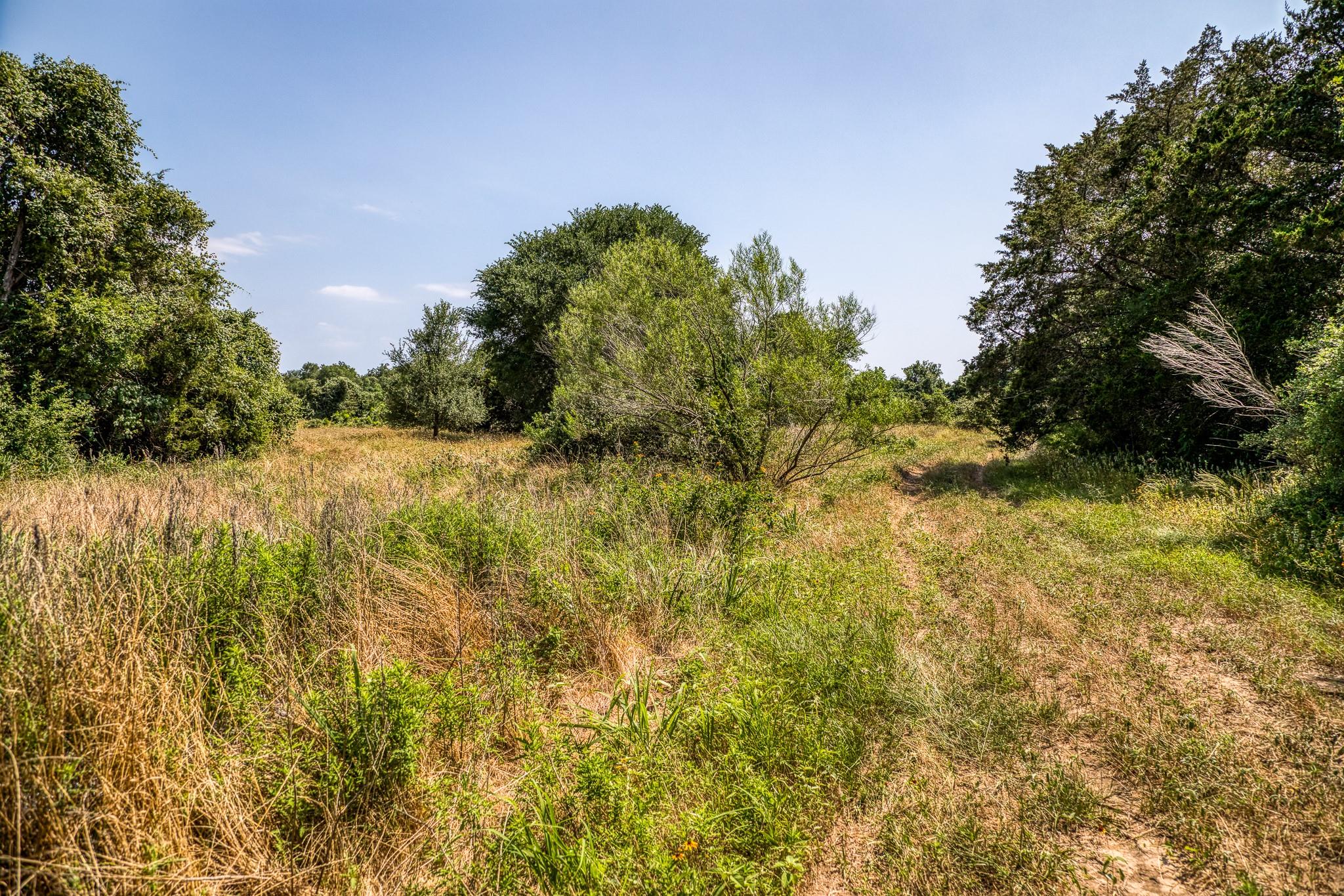 Tbd (88.852 Acres) Smith Road Bastrop TX 78602