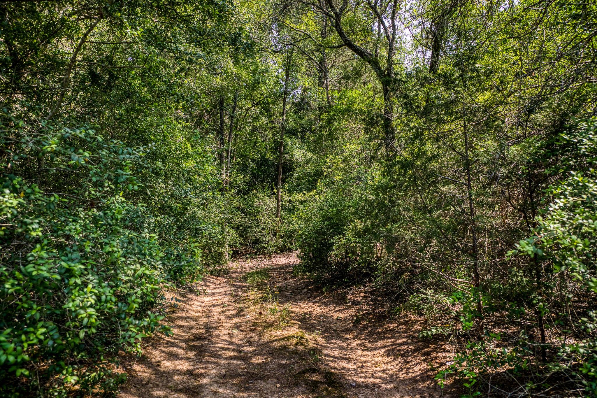 Tbd (88.852 Acres) Smith Road Bastrop TX 78602