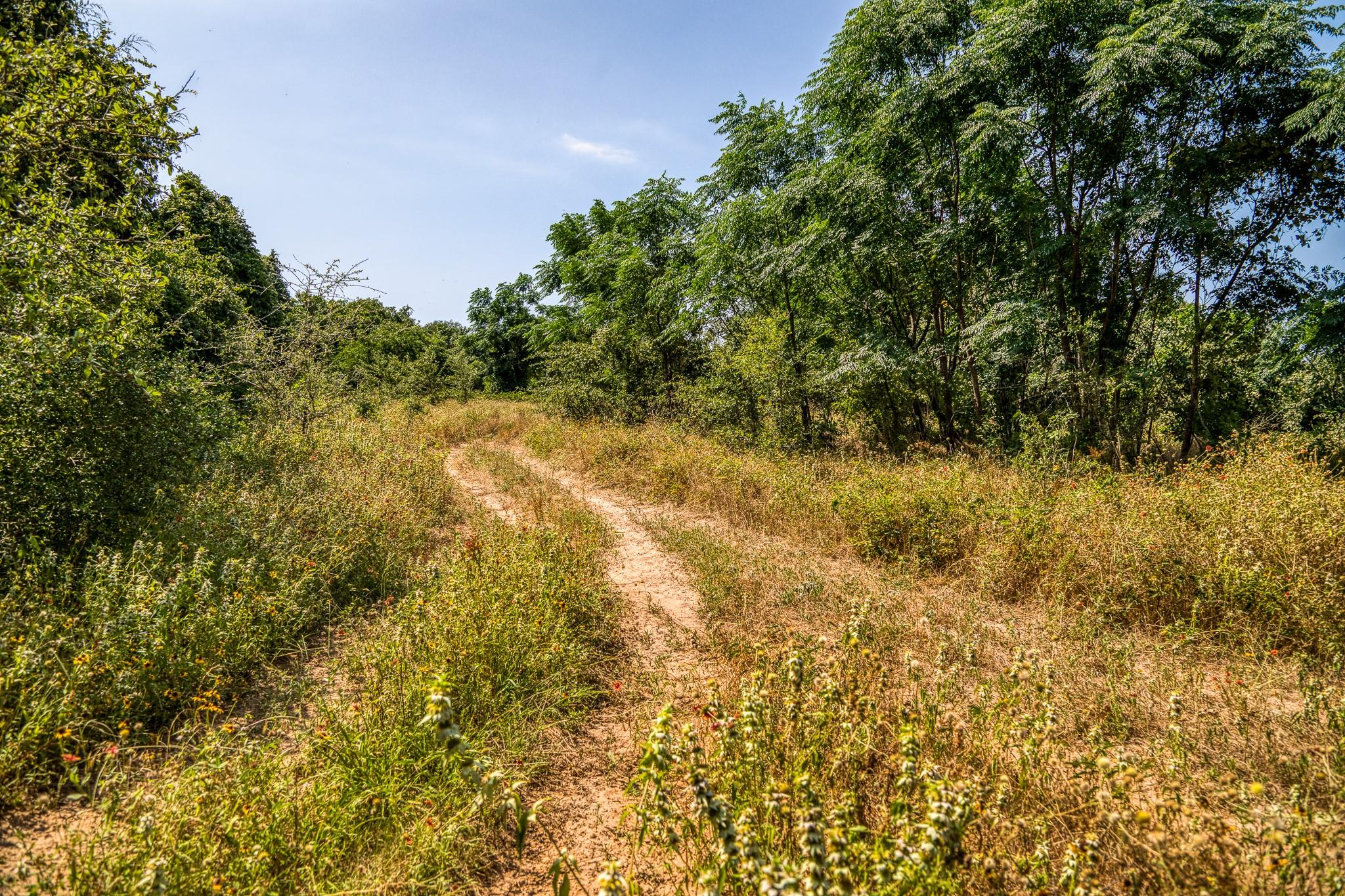 Tbd (88.852 Acres) Smith Road Bastrop TX 78602
