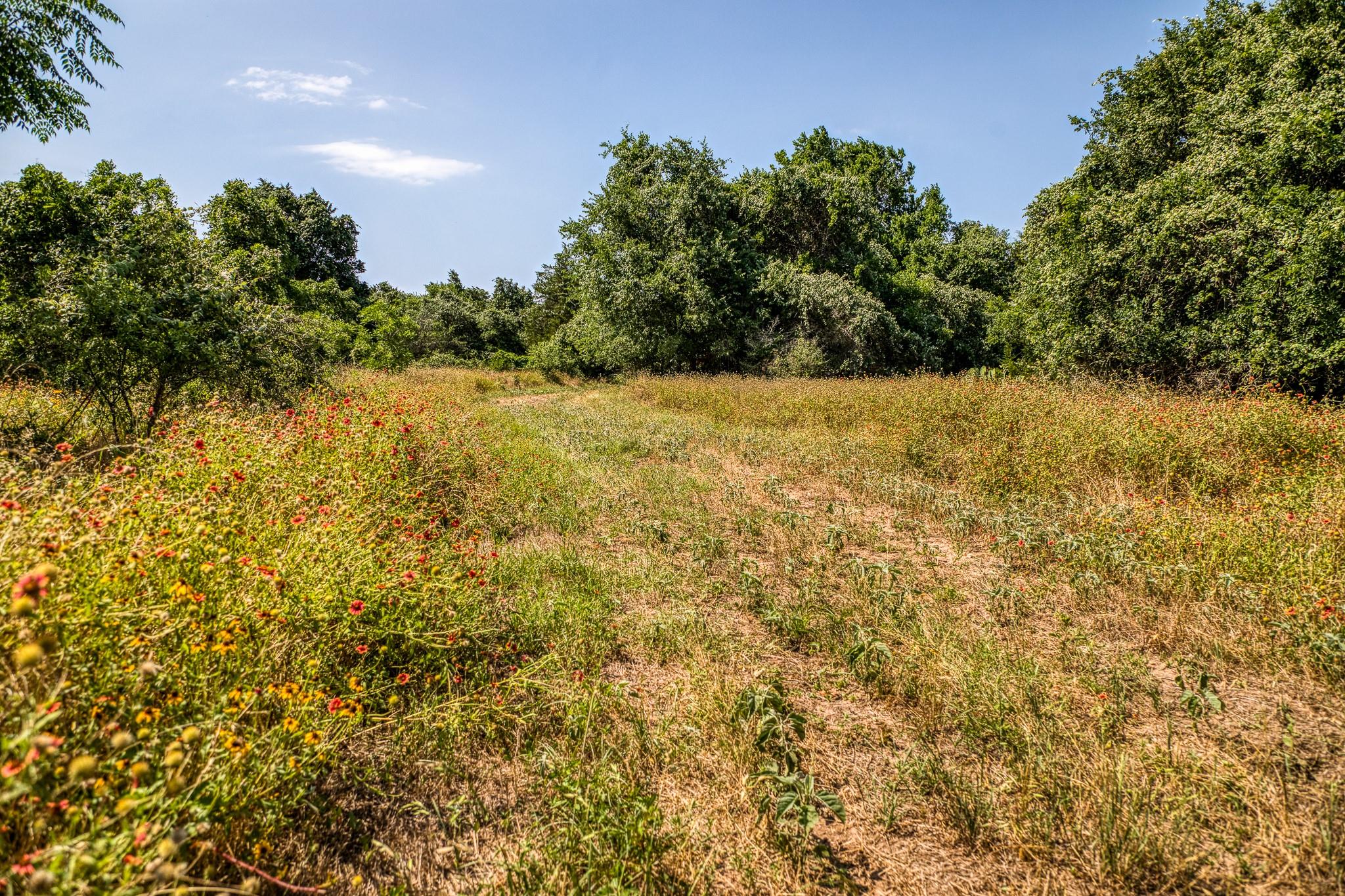 Tbd (88.852 Acres) Smith Road Bastrop TX 78602