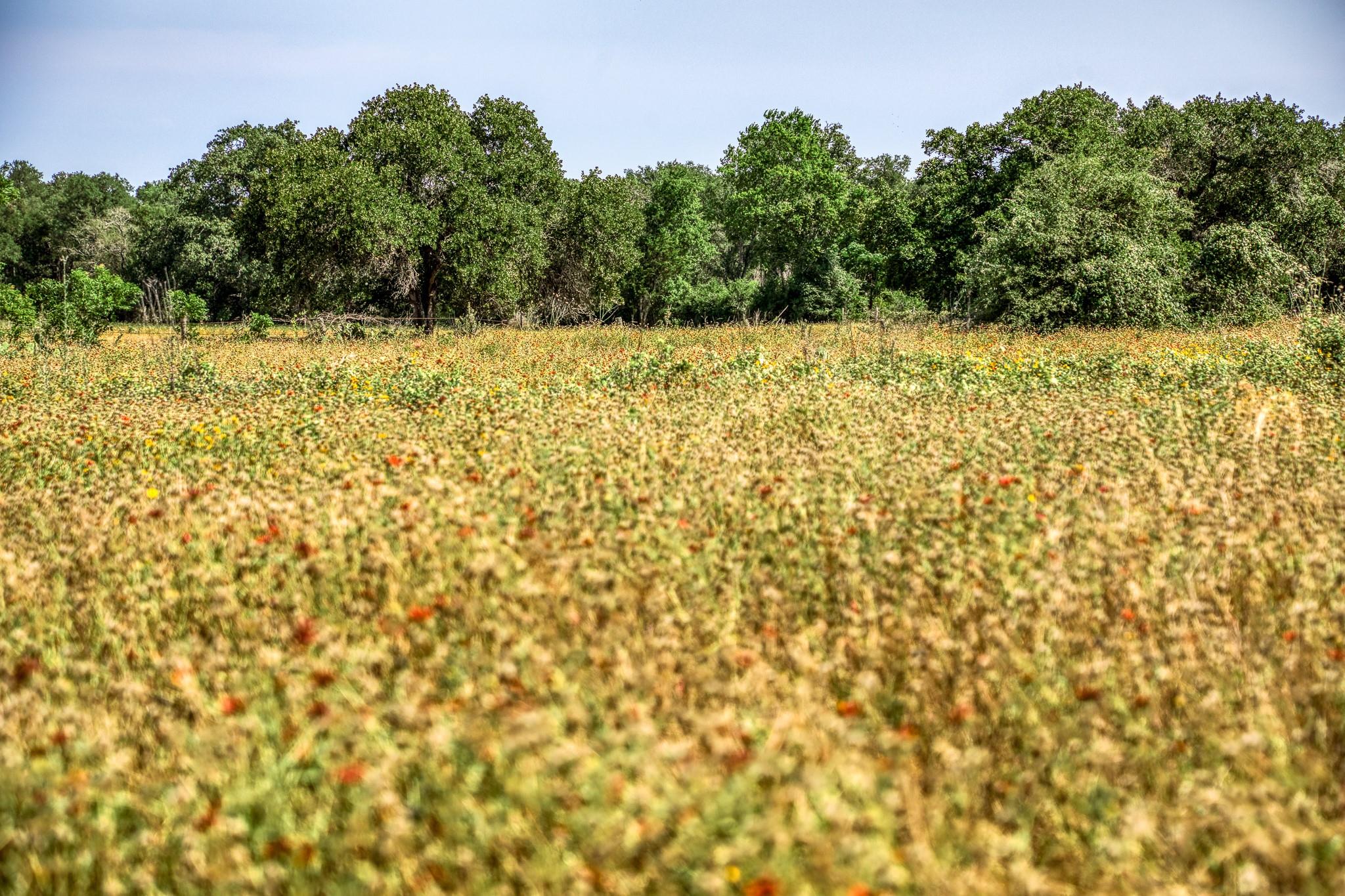 Tbd (88.852 Acres) Smith Road Bastrop TX 78602