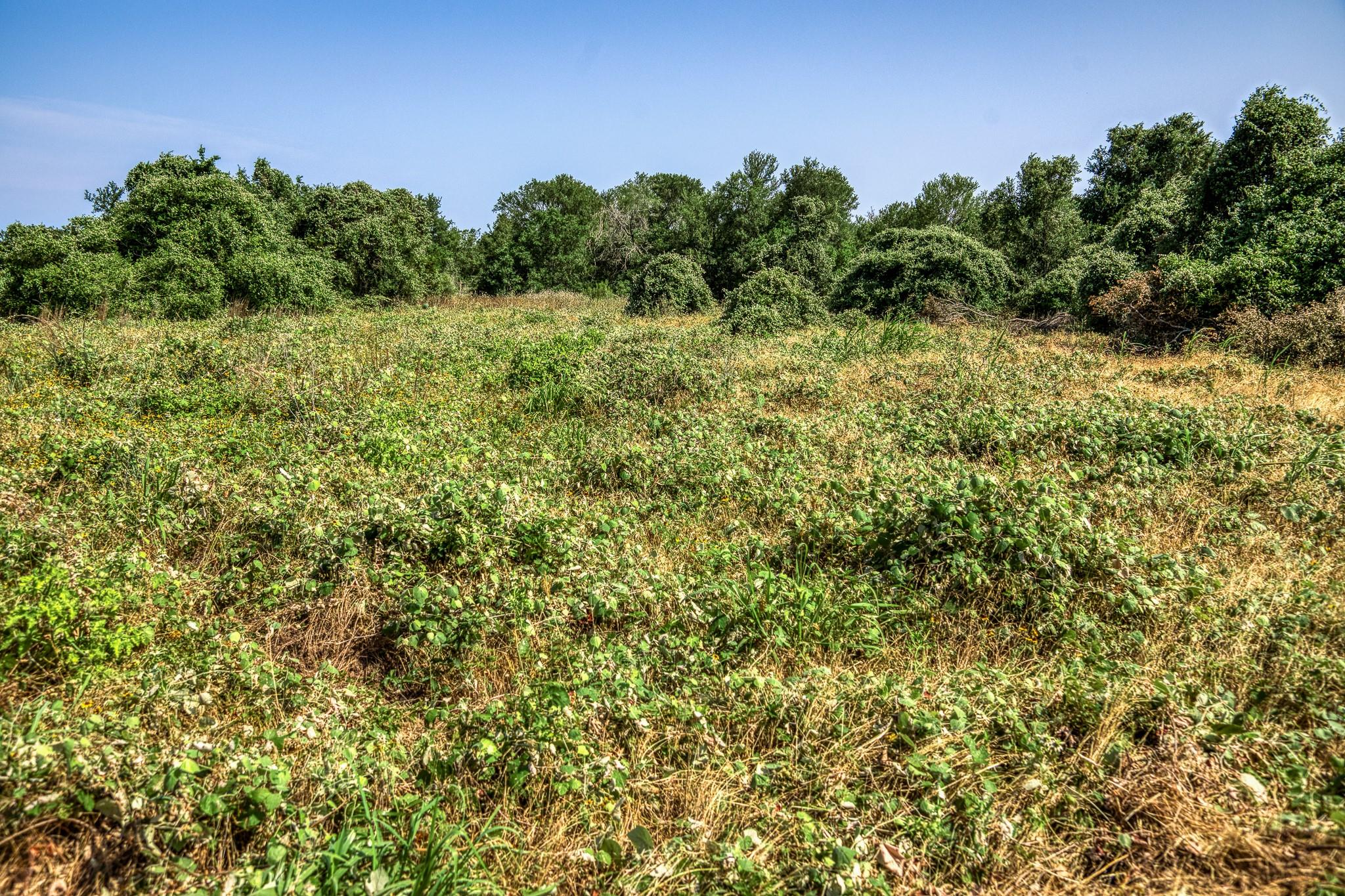 Tbd (88.852 Acres) Smith Road Bastrop TX 78602