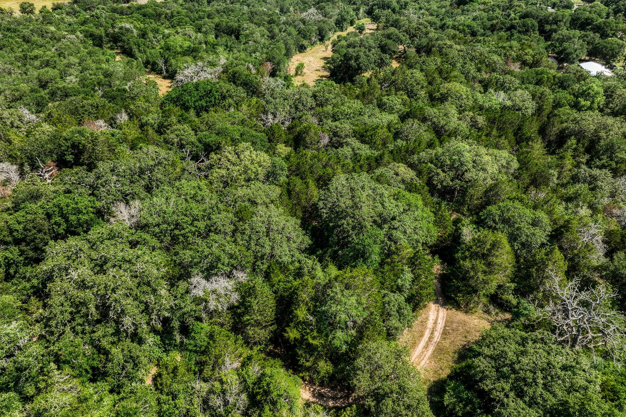 Tbd (88.852 Acres) Smith Road Bastrop TX 78602