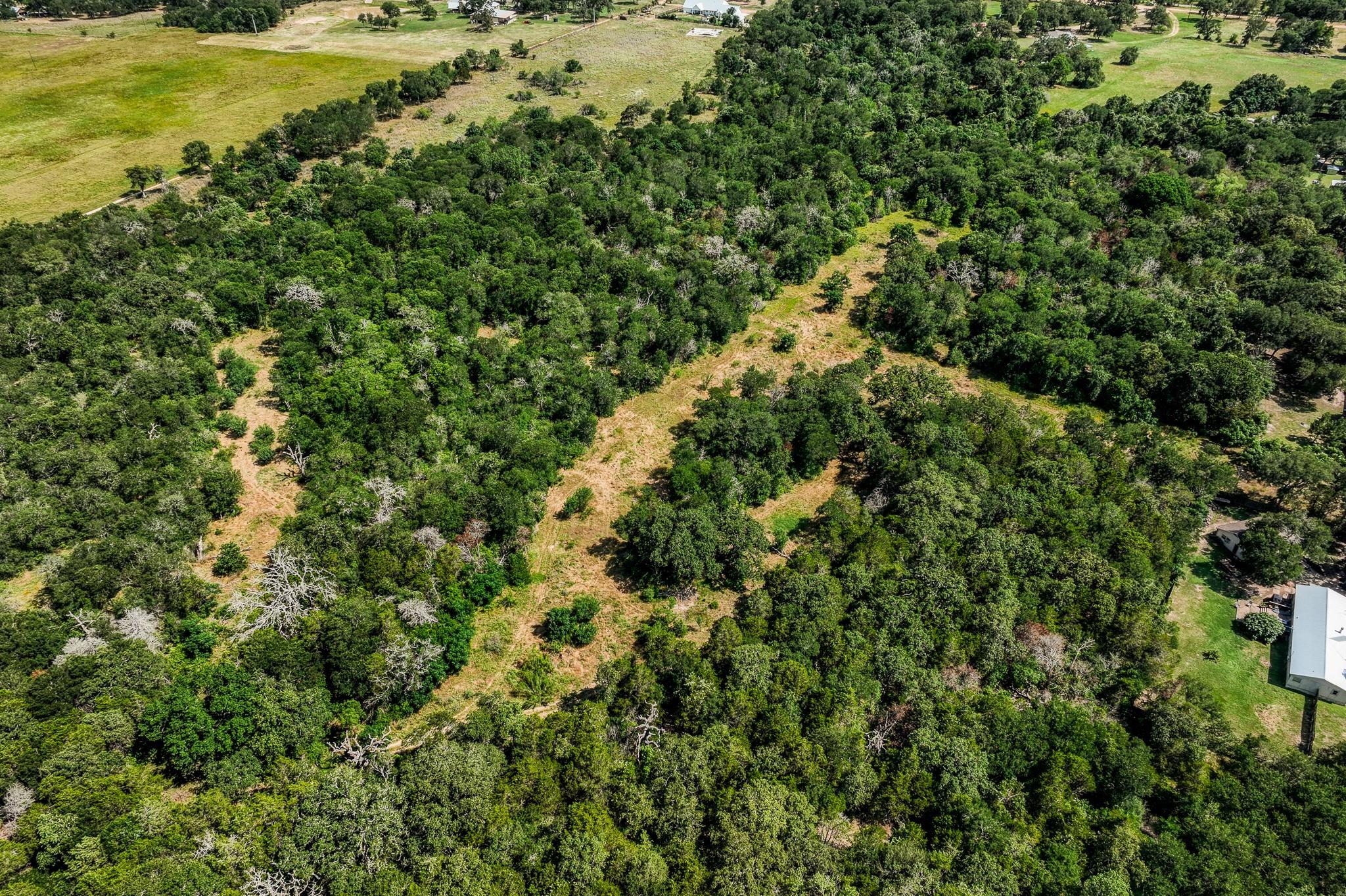 Tbd (88.852 Acres) Smith Road Bastrop TX 78602