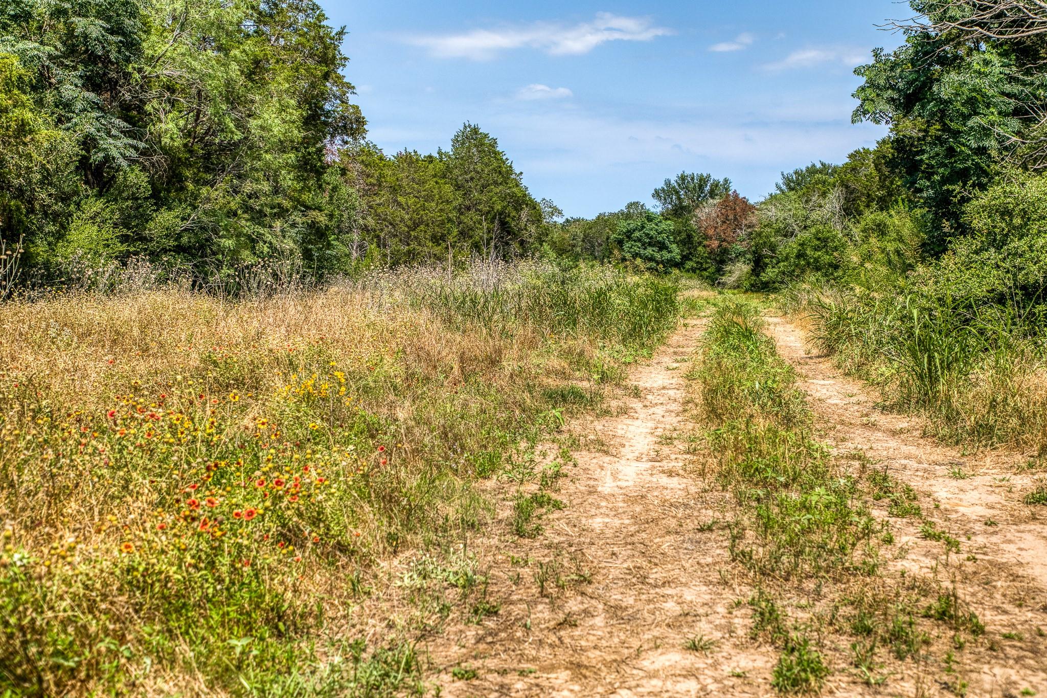 Tbd (88.852 Acres) Smith Road Bastrop TX 78602