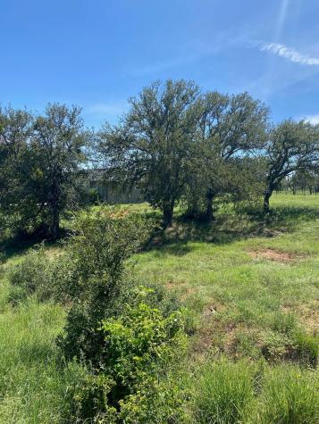 W25065 White Dove / Apache Tears Horseshoe Bay TX 78657