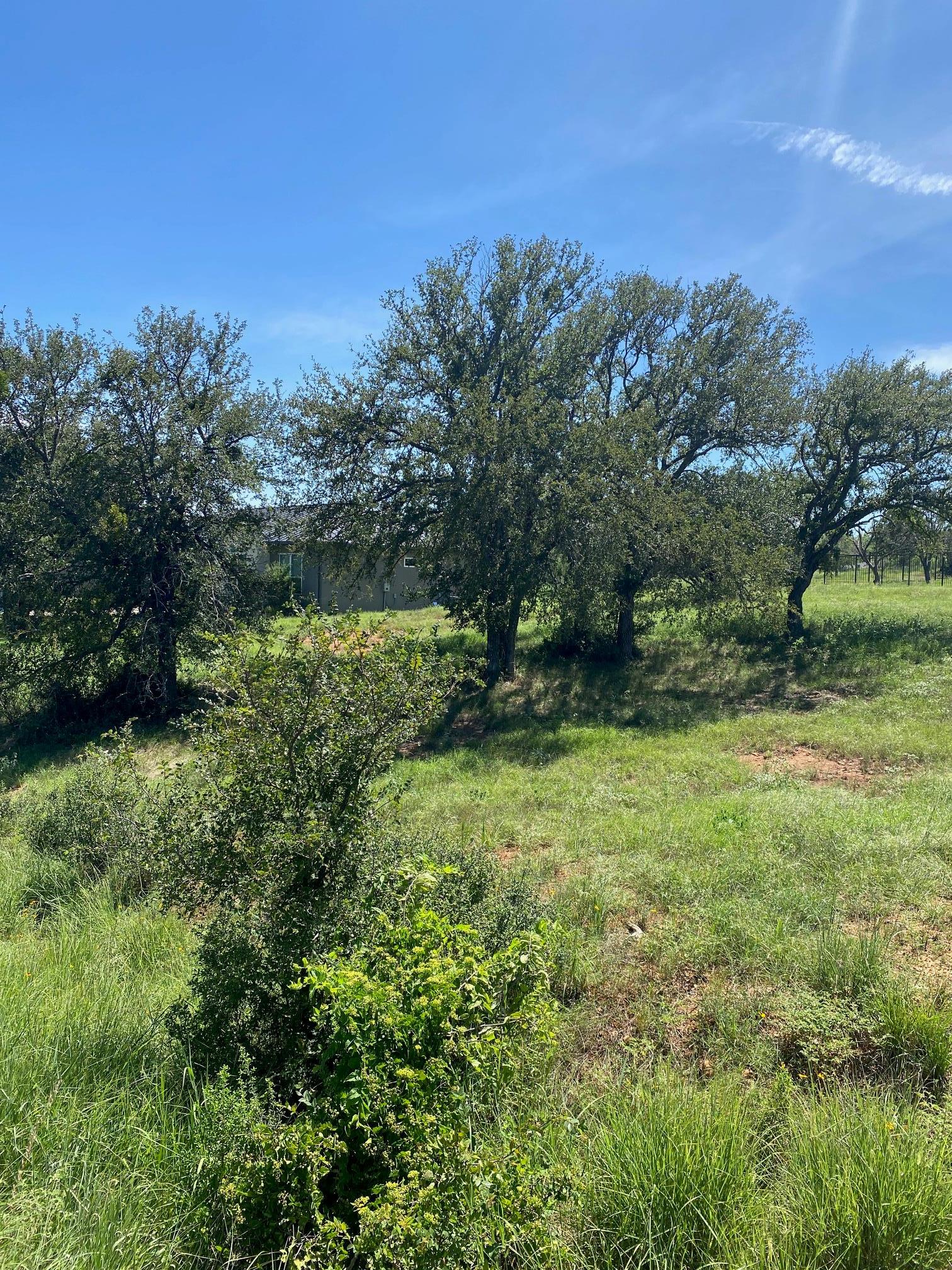 W25065 White Dove / Apache Tears Horseshoe Bay TX 78657