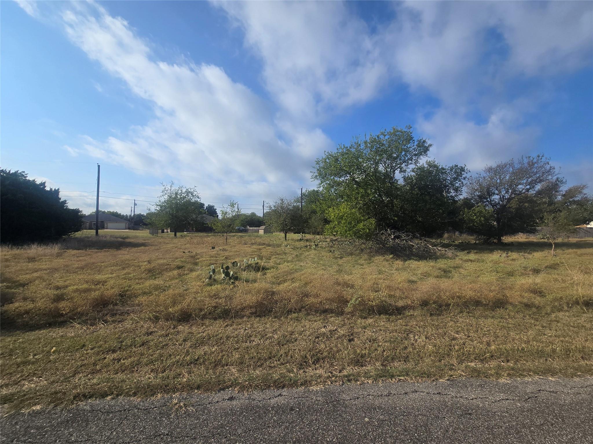 36 Blue Roan Drive Belton TX 76513