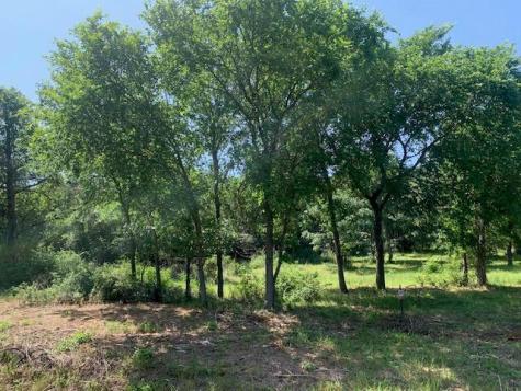 266 Colovista Parkway Bastrop TX 78602
