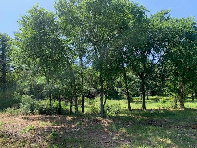 266 Colovista Parkway Bastrop TX 78602
