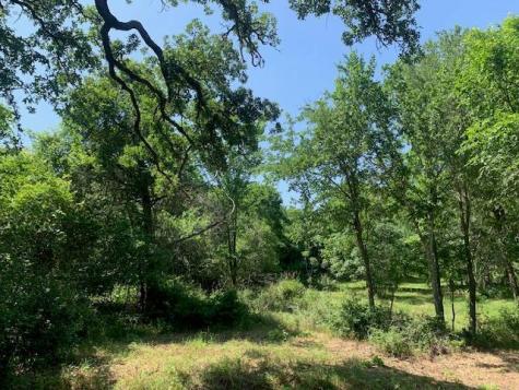 266 Colovista Parkway Bastrop TX 78602