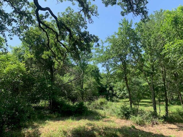 266 Colovista Parkway Bastrop TX 78602