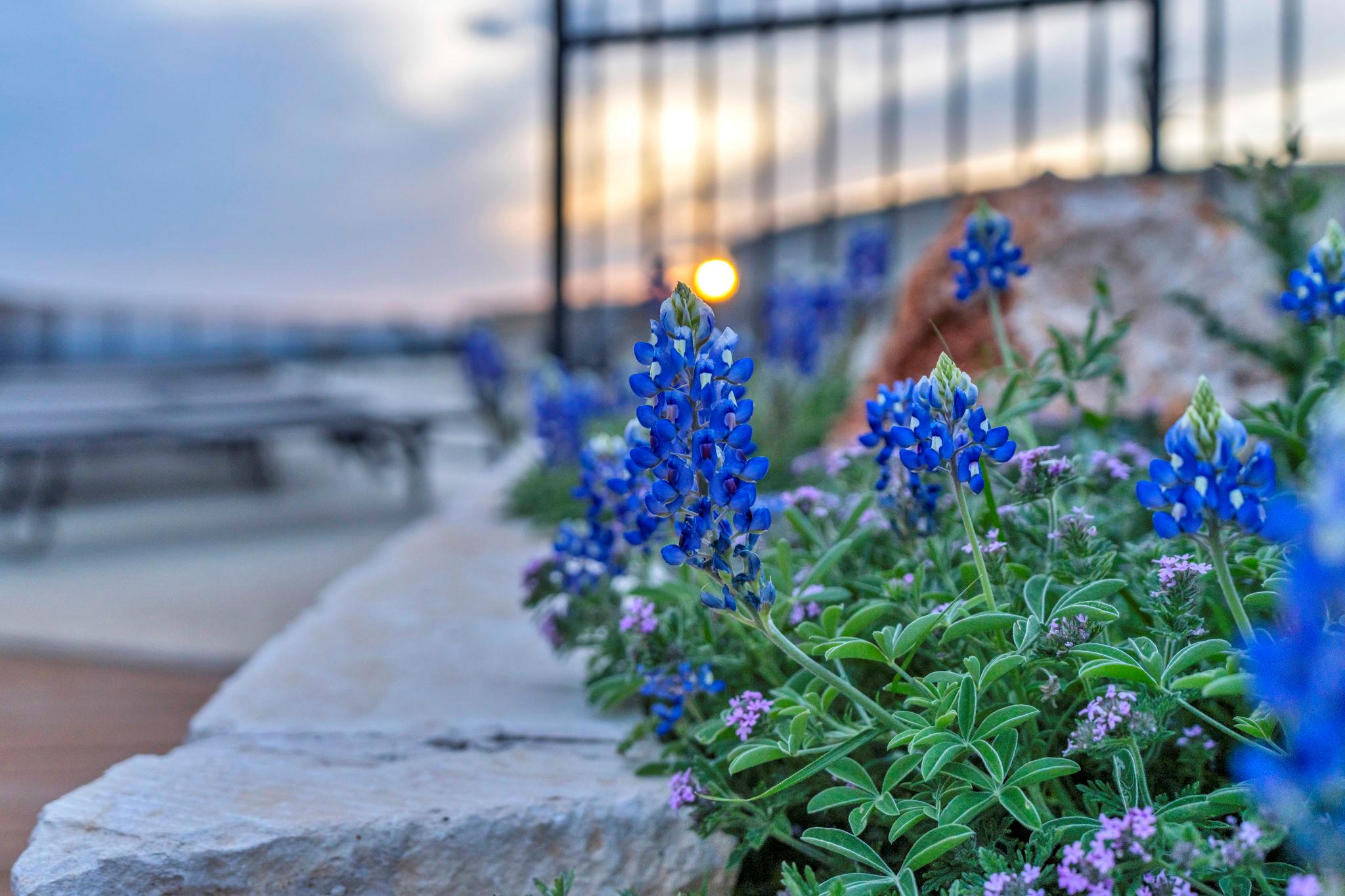 Lot 34 High Range Drive, Big Creek Ranch Kingsland TX 78639