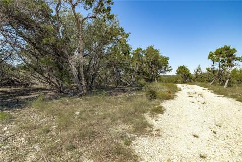 Tbd County Road 281 Lot 1 Leander TX 78641