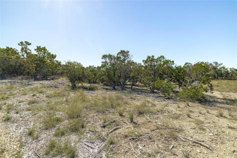Tbd County Road 281 Lot 1 Leander TX 78641