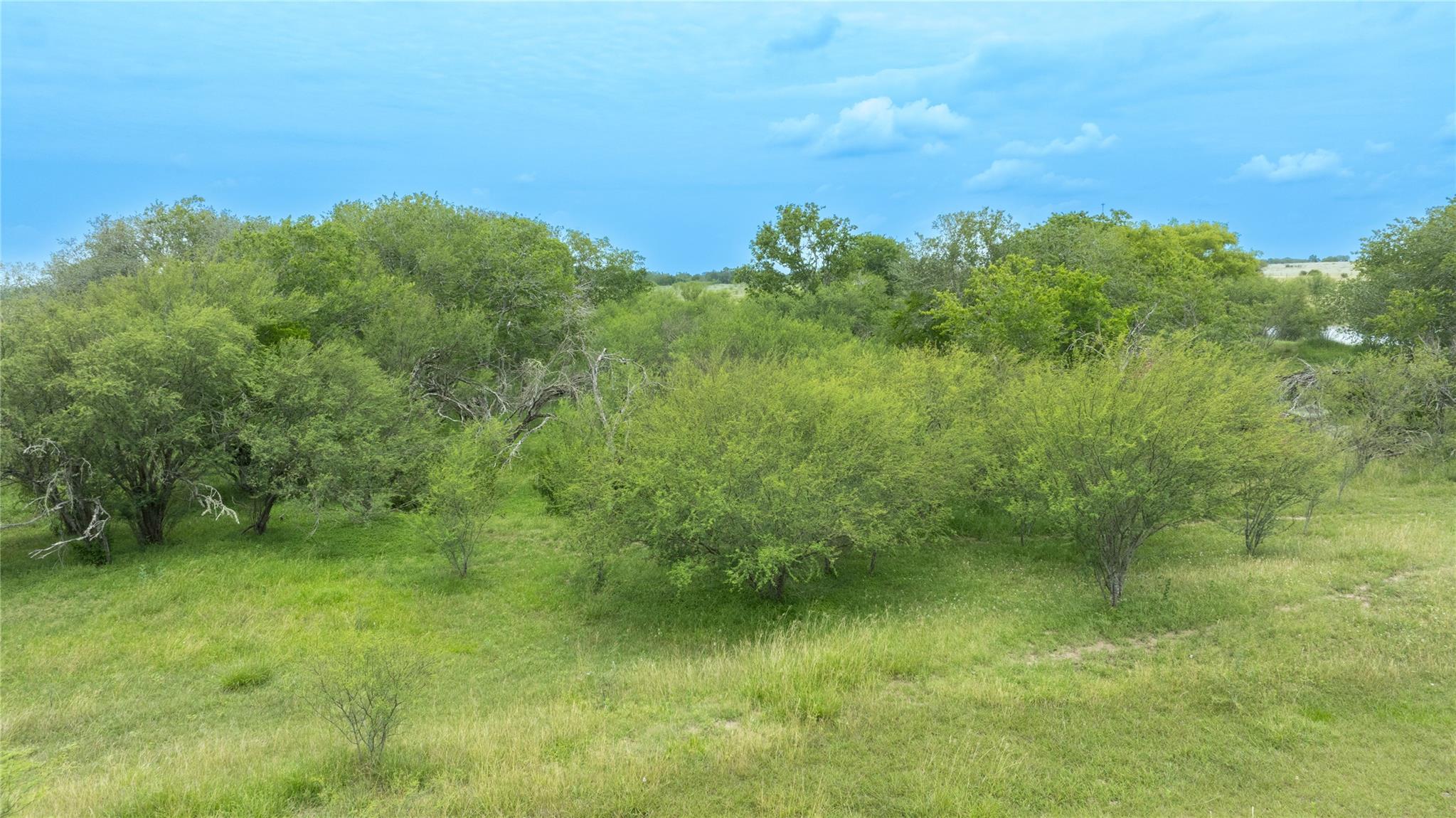 Lot 1 Concrete Edgar Road Cuero TX 77954