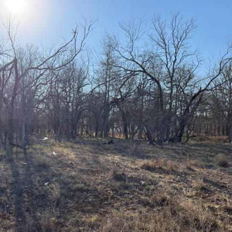 133 Chandler Cove Cedar Creek TX 78612
