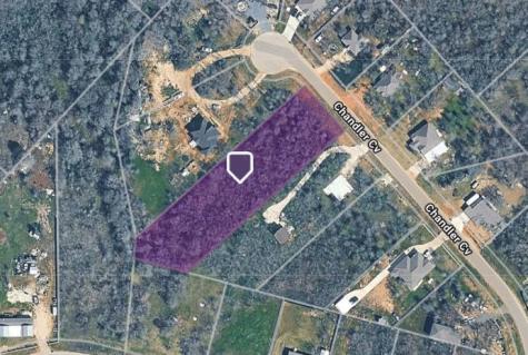 133 Chandler Cove Cedar Creek TX 78612