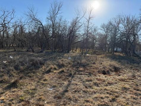 133 Chandler Cove Cedar Creek TX 78612