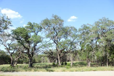 Lots 56-57 Travis Oaks Drive Marble Falls TX 78654
