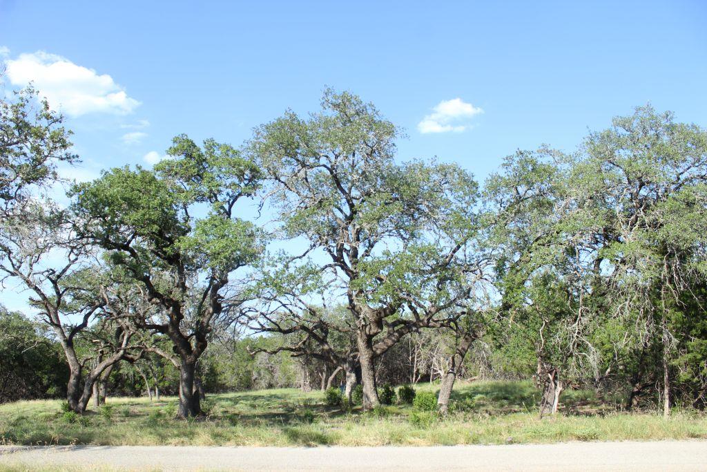 Lots 56-57 Travis Oaks Drive Marble Falls TX 78654