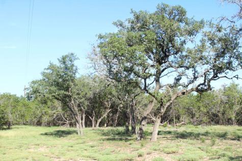Lots 56-57 Travis Oaks Drive Marble Falls TX 78654