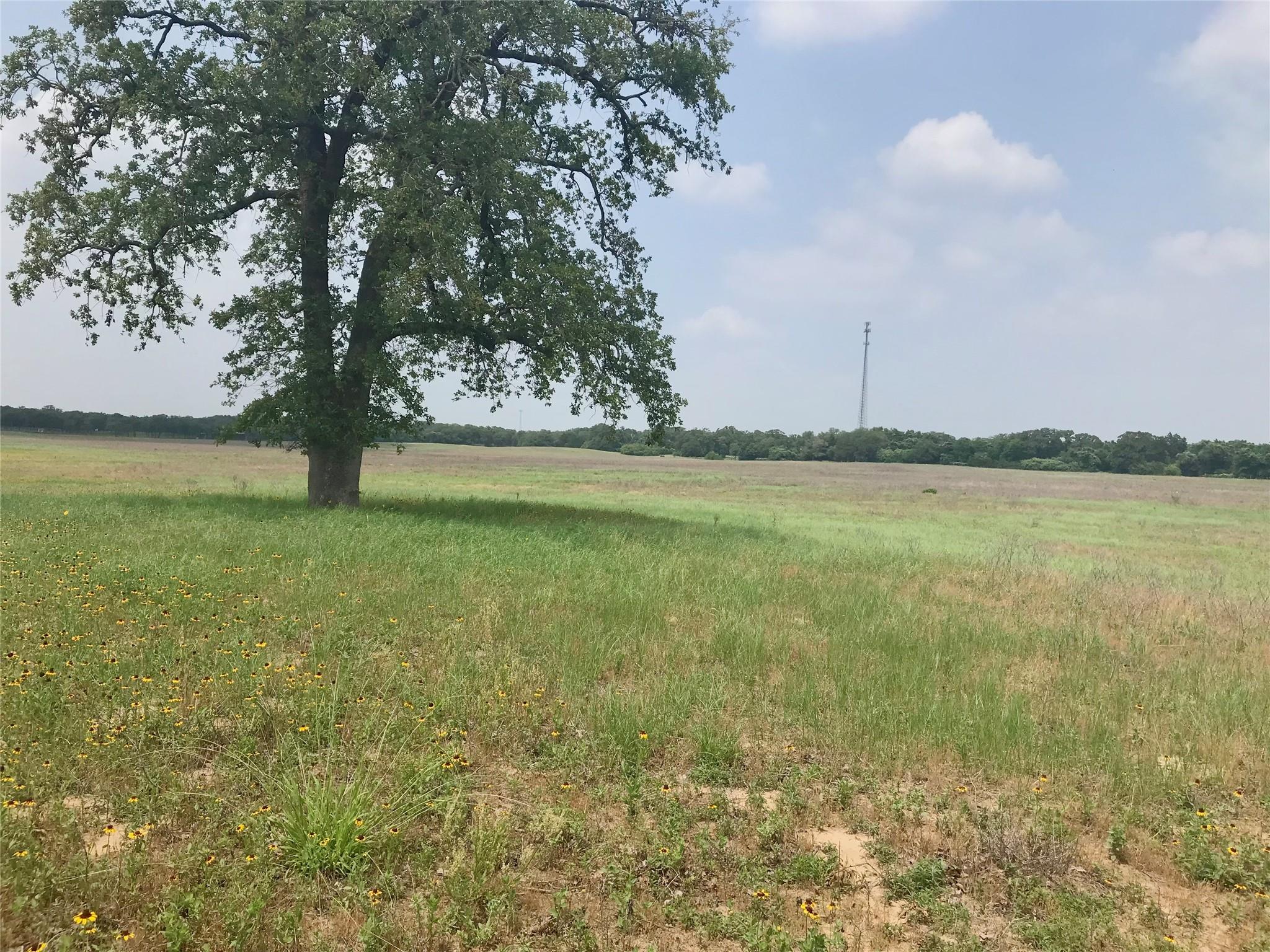1672 Sayers Road Bastrop TX 78602