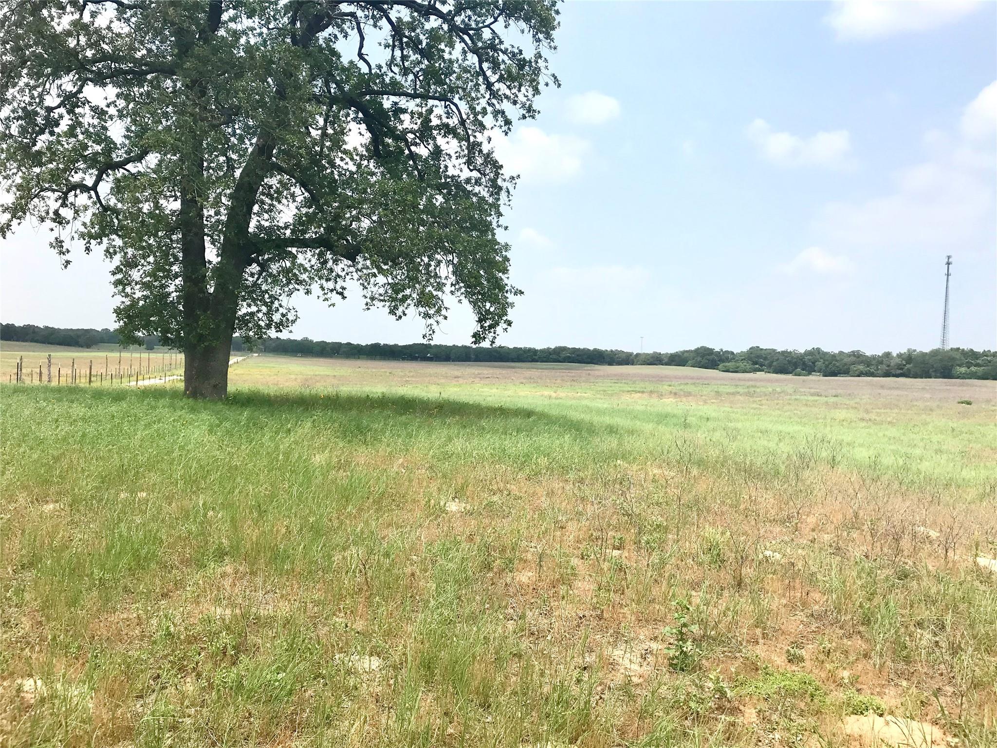1672 Sayers Road Bastrop TX 78602