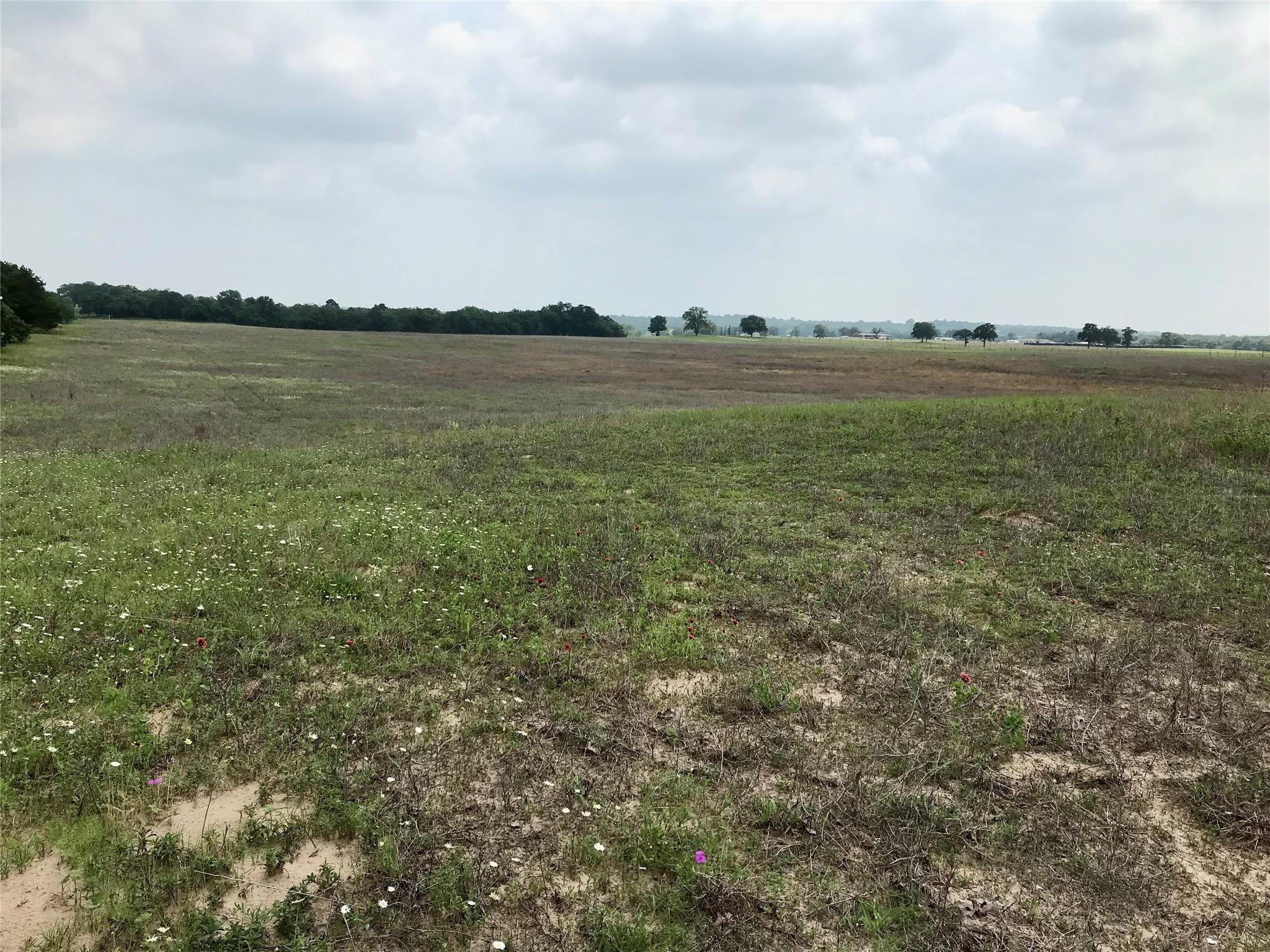 1672 Sayers Road Bastrop TX 78602