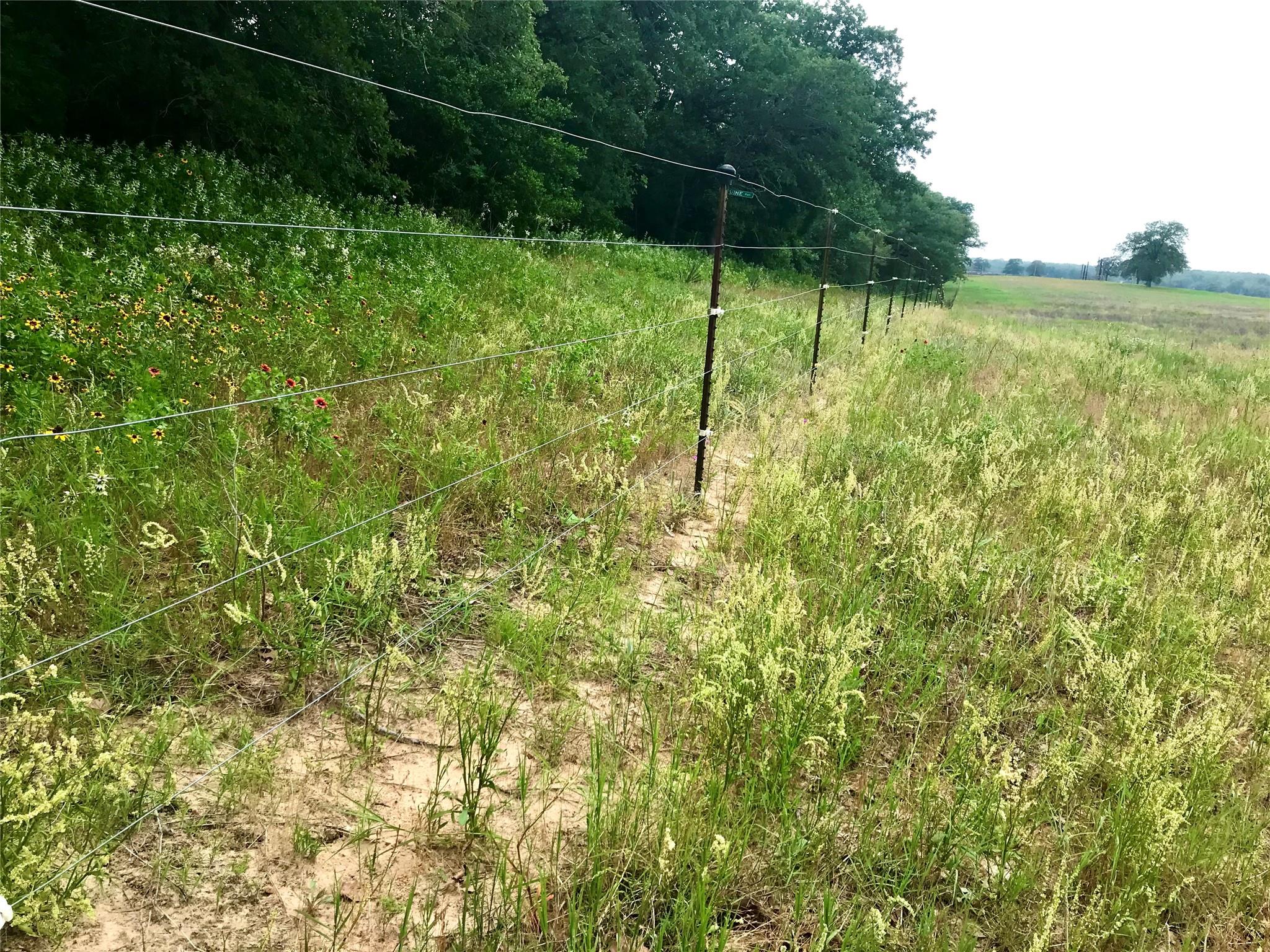 1672 Sayers Road Bastrop TX 78602