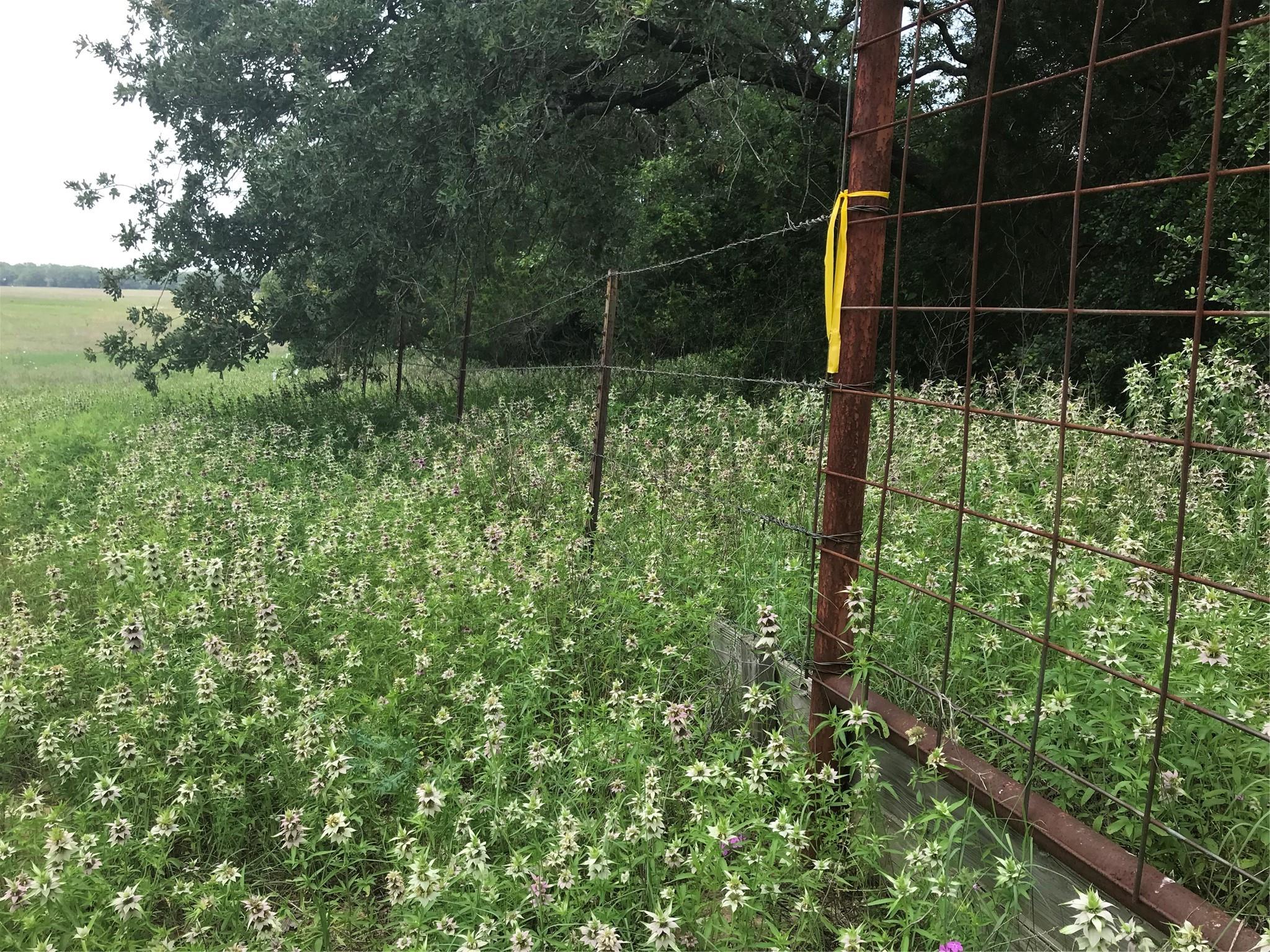 1672 Sayers Road Bastrop TX 78602
