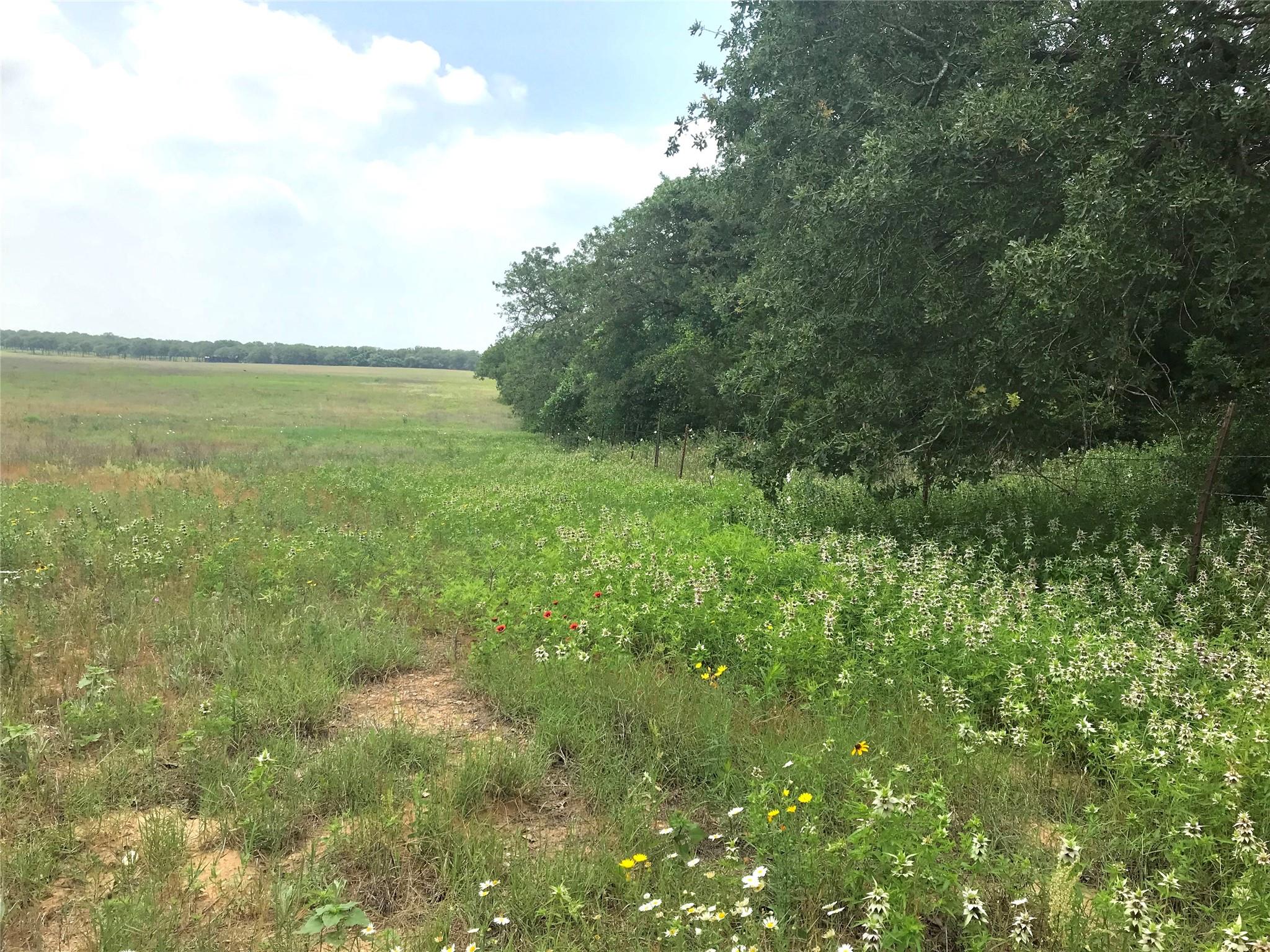 1672 Sayers Road Bastrop TX 78602