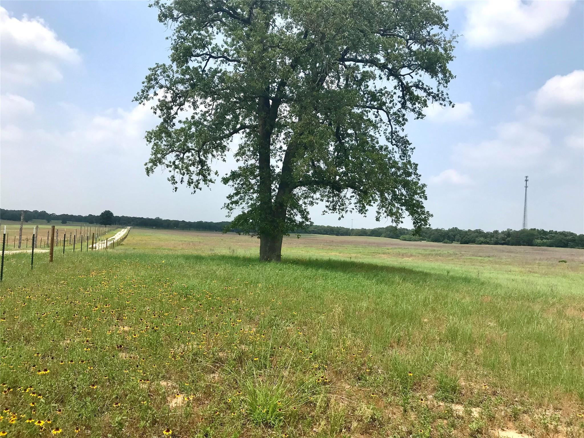 1672 Sayers Road Bastrop TX 78602