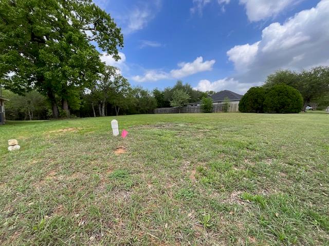 117 Allison Cove Elgin TX 78621