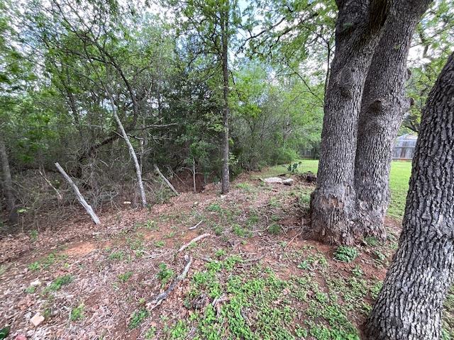 117 Allison Cove Elgin TX 78621