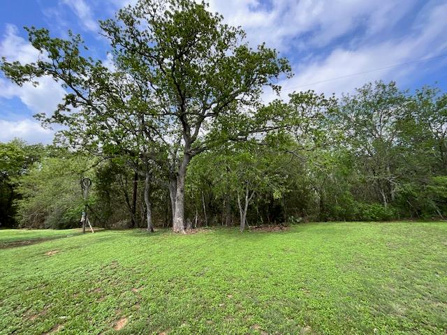 117 Allison Cove Elgin TX 78621