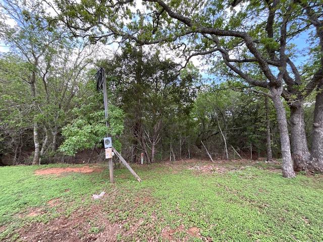 117 Allison Cove Elgin TX 78621