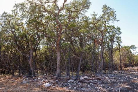 3101 - 1 Longhorn Trail Wimberley TX 78676