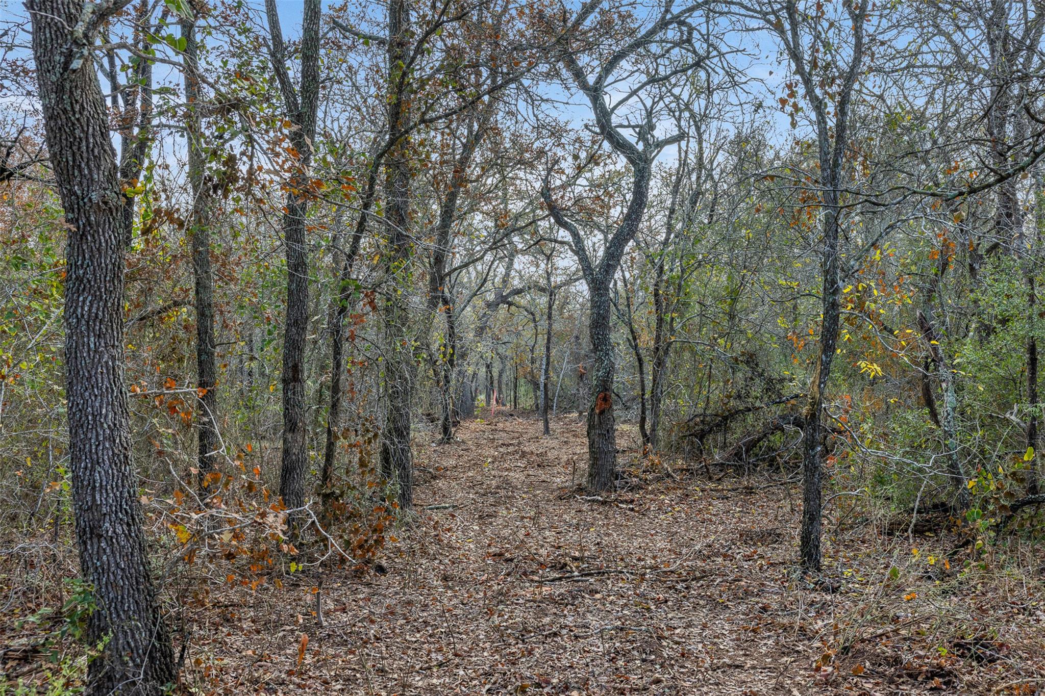 766 Bugtussle Lane Luling TX 78648