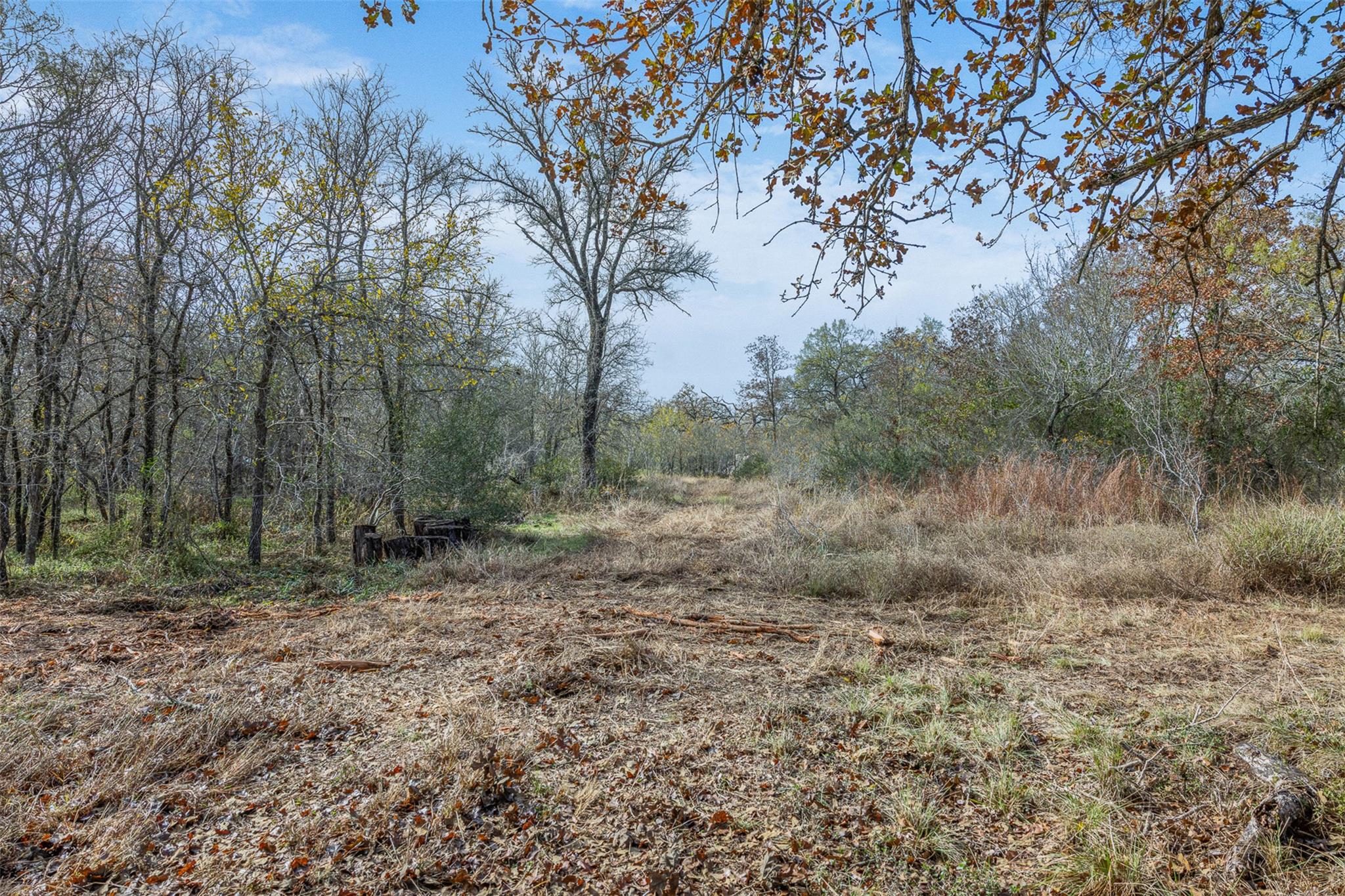 766 Bugtussle Lane Luling TX 78648