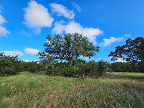 Lot 22 Riparian Elm Road Bertram TX 78605