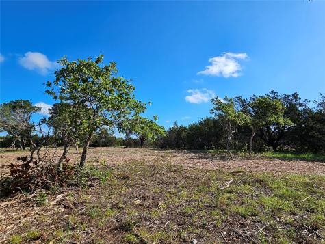 Lot 22 Riparian Elm Road Bertram TX 78605