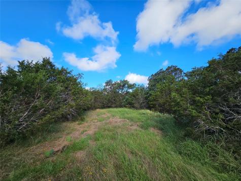 Lot 22 Riparian Elm Road Bertram TX 78605