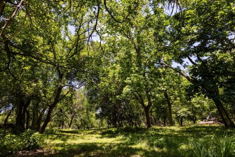 951 Cypress Creek Road Kerrville TX 78028