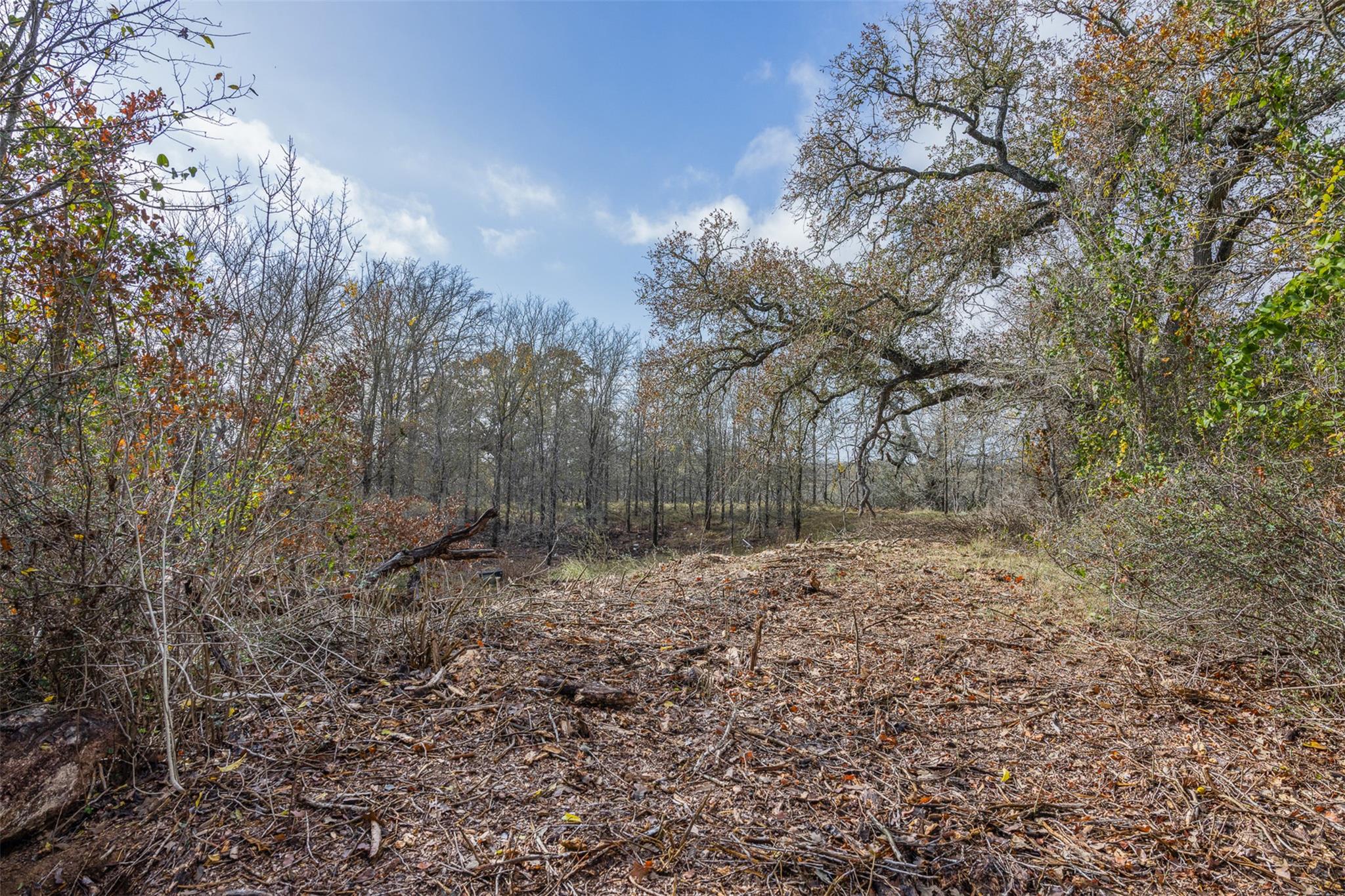 1050 Bugtussle Lane Luling TX 78648